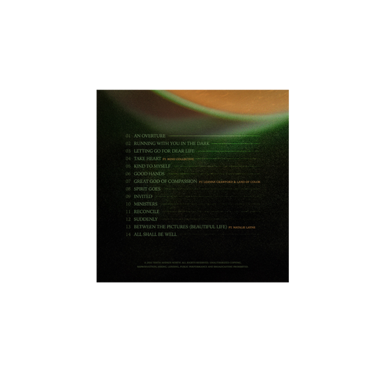 LEARNING TO TRUST VINYL LP