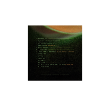 PREORDER: LEARNING TO TRUST VINYL LP - SIGNED